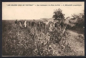 CPA Vouvray, Les vendanges à la Pièce du Puit - Picture 1 of 2