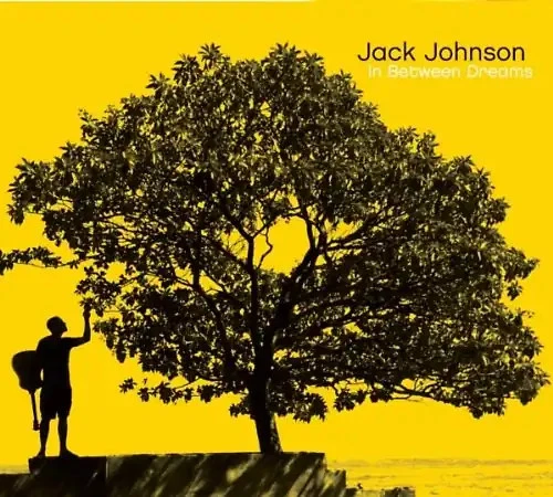 Jack Johnson - In Between Dreams - Bild 1 von 1