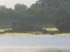 Photo 6x4 MMS293 unknown vessel and small leisure boat Forton Lake Taken  c2008
