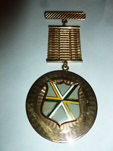 RARE 1930s New York State Guard Special Troops Medal Badge DI Gilt Brass Enamel