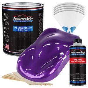 ProductionShop High Gloss Plum Crazy Metallic Acrylic Enamel Gallon Kit Paint - Picture 1 of 1