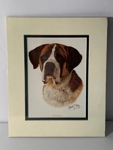 Saint Bernard Dog Art Print By Robert J May 11" x 9" - Picture 1 of 9