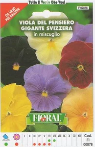 VIOLA GIGANTE SVIZZERA MISCUGLIO- DA VASO PER BALCONE-FLORAL - BUSTA SEMENTI - Picture 1 of 1