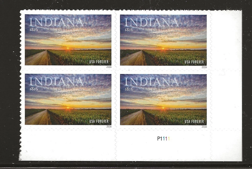 US Scott #5091, Plate Block #P1111 2016 Indiana VF MNH Lower Right - Image 1 of 1