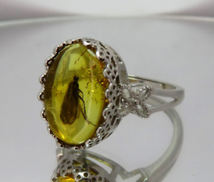 925 Sterling Silver Ring with Fossil Insect Caddisfly inclusion in BALTIC AMBER
