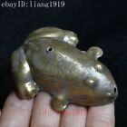 Chinese Bronze Carving Lovely Frog statue water drop Gift Collection Length 8 CM