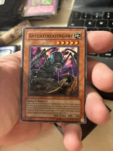 AntEaterEatingAnt | SOI-EN022 | Yu-Gi-Oh Card - Picture 1 of 2