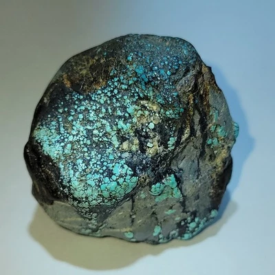 Rare Natural Candelaria Nevada Pseudomorph Clam Fossil 35 Grams - Image 1 of 4