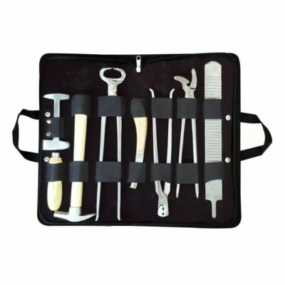 Heavy Duty Professional Horse Care Farrier Tool Kit Hoof Clincher Nipper RASP - Image 1 of 2