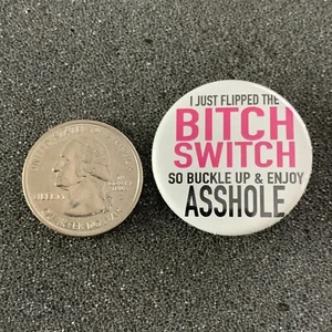 I Just Flipped The Bitch Switch Buckle Up A$$hole Humor Funny Pinback Button - Picture 1 of 2