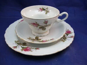 VINTAGE PEDESTAL TEA CUP, SAUCER & SANDWICH PLATE - EMBOSSED & ROSE DECORATION - Picture 1 of 12