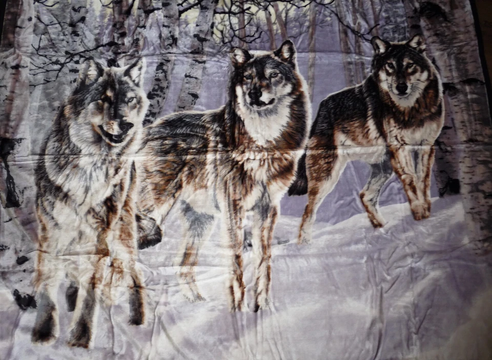 Tagesdecke Kuscheldecke Plüschdecke Decke Plaid Motiv Wolf / Wölfe 160x200cm - Bild 1 von 1