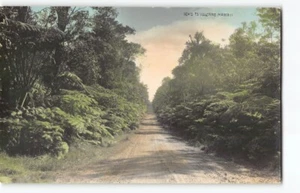 Road to Kilauea Volcano~Expert Hand-Tinted RPPC Postcard Hawaii National Park-H1 - Picture 1 of 4