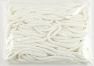 ZOOM THE ORIGINAL TRICK WORM 100 PACK BULK 6.5" 006-040 WHITE F2248 - Picture 1 of 1