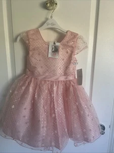 Jessica Simpson Toddler Girl’s 3D Embroidered Mesh Dress with Sequins Pink 4T - Picture 1 of 7