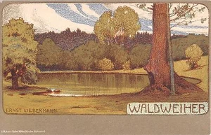 c.1905 Waldweiher Germany post card artist sgd. Ernst Liebermann Art Nouveau - Picture 1 of 2