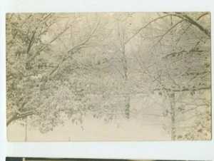 Postal de colección RPPC escena de invierno árboles y lago posiblemente Madison Wis - Imagen 1 de 2