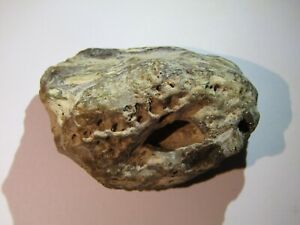 Ambergris stone from Indian Ocean 21,31 g