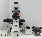 Nikon TiE-Perfect Focus Fluorescence Microscope System with Micromanipulation