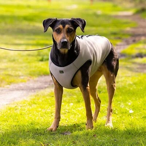 HUNTER® Hunde-Kühlweste 2in1 inkl. Geschirr leichtes Mesh-Design Gr XXL - Bild 1 von 6