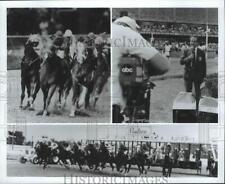 1985 Press Photo Horse racing's 110 Peakness Stakes at Pimlico Race Track