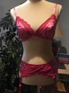 Victoria Secret Pink Zebra Silk & Lace Sleep Bra Size M Matching Garter Belt NWT - Picture 1 of 11