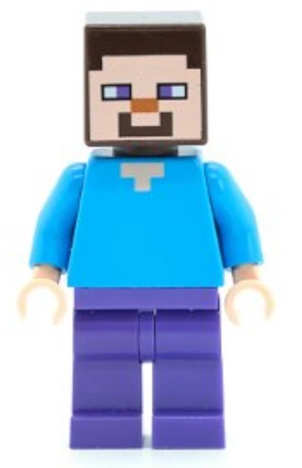 LEGO MINIFIGURA MINECRAFT STEVE USADO ESTADO MIN009!! Foto 1 de 1