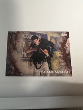 2016 Topps The Walking Dead Survival Box Rotten parallel card 1/25 Shane Walsh 9