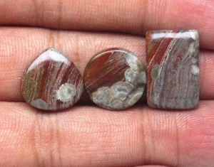 Mushroom Rhyolite Cabochon 23.10 Cts. Natural Loose Gemstone H 6563 - Picture 1 of 8