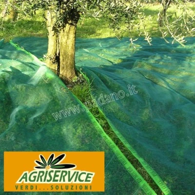 TELO RETE RACCOLTA OLIVE ANTISPINA OCCHIELLATO RINFORZATO 95 gr 6 x 10 m VERDE - Immagine 1 di 2