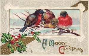 1911 Stetcher Bird 3 Birds on tree Christmas Postcard Series 210 E - Picture 1 of 2