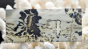 Scheibe poliert - Landschaftsstein 110 mm - Guilin, Guangxi, China - Bild 1 von 2