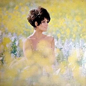 LAINIE KAZAN "LOVE IS LAINIE" PREMIUM QUALITY USED LP (NM/EX) - Picture 1 of 1