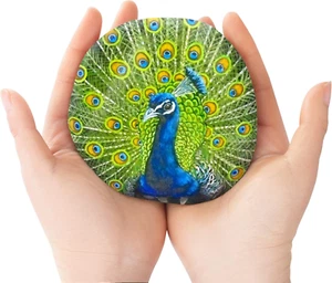 ROCART 6 Extra Large 4-5" Flat Rocks for Painting, Smooth River Rocks Painting S - Picture 1 of 12