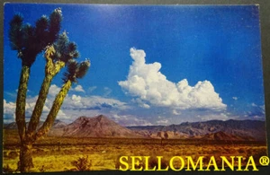 POSTCARD USA DESERT LANDSCAPE AMERICAN SOUTHWEST UTAH CC05173 UK - Foto 1 di 1