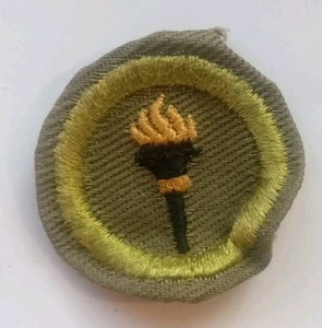 Vintage  PUBLIC HEALTH Boy Scout MERIT BADGE PATCH BSA Uniform Sash Crimped - Picture 1 of 2