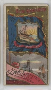 1888 Flagi stanów i terytoriów Allen & Ginter New Hampshire #NH 0d08 - Zdjęcie 1 z 3