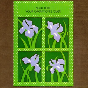 Vintage 1981 Rust Craft GET WELL SOON Greeting Card, OPERATION Over, Flowers - Picture 1 of 5