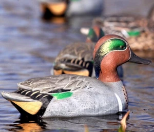 Duck Decoys set of 6 GHG Pro Grade Teal 4 Cocks 2 Hens - Picture 1 of 8
