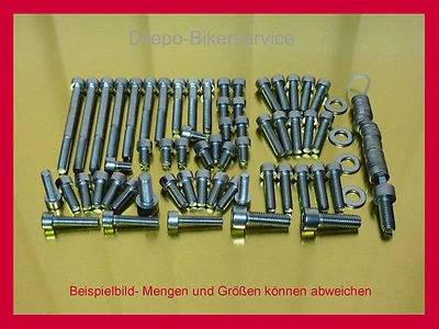 Tornillos V2A tornillos de acero inoxidable tornillos de motor para Triumph Daytona 1200 / T300  Foto 1 de 2