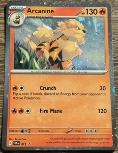 Arcanine 011 Cosmos Holo Black Star Promo SVP EN (Scarlet & Violet, 2023) - Foto 1 di 2