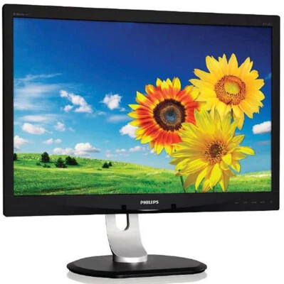 Philips P-line 240P4QPYNB 24-Zoll Monitor IPS WUXGA 1920x1200 DP DVI VGA USB 7ms - Bild 1 von 2