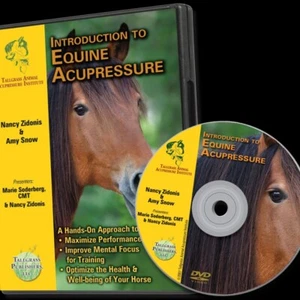 Introduction to Equine Acupressure - DVD by Nancy Zidonis, Amy Snow - Picture 1 of 1