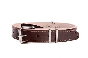Echtleder Hundehalsband Leder Echtes Größe 36-48 Lederhundehalsband - Bild 1 von 15