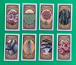 8 DIFF  2024 TOPPS  ALLEN GINTER mini  SCRACH & SNIFF . GOT THE ITCH . 1/124 - Picture 1 of 2