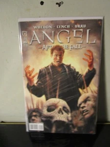 ANGEL  ONLY HUMAN   IDW CAFTER THE FALL  BAGGED BOARDED - Picture 1 of 1