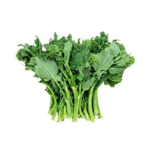 5000 SEMI DI CIME DI RAPA/FRIARIELLI 40’ - RACCOLTA IN 40 GIORNI DALLA SEMINA - Foto 1 di 3