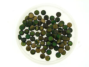 Vintage Organic Green Gold Shimmer Coated Round Tablet Wood? Organic Bead Lot