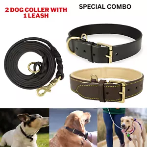 Genuine Leather Padded Dog Heavy Duty Adjustable Collar+ Real Leather Dog Leash - Picture 1 of 17