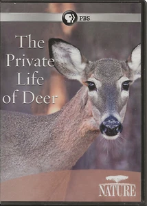 Nature: The Private Life of the Deer in very good condition) PBS - Foto 1 di 1